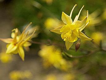 《街头霸王6》新实机试玩视频 画面和系统全新进化